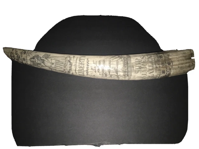 Faux Antique Sailer Made Carved Decorated Scrimshaw Walrus Tusk 1830