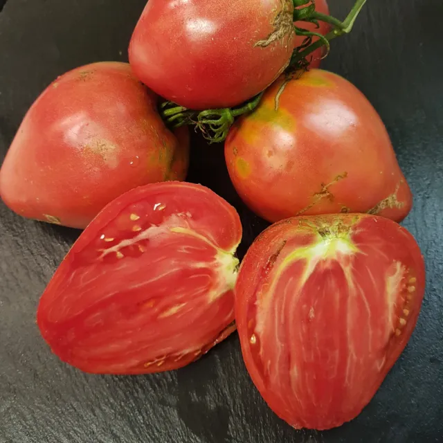 Ungarisches Ochsenherz Tomate Fleischtomate Salattomate Tomatensamen Samen