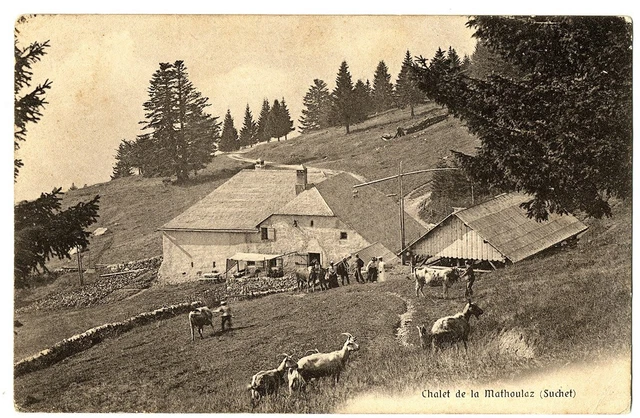 CPA Suisse Mittelland  Suchet Chalet de la Mathoulaz animé animaux