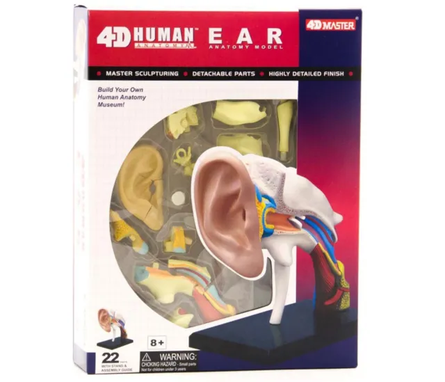 4D Master Human Anatomy Ear Anatomy 22 Parts With Stand & Assembly Guide NEW