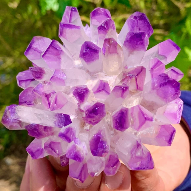 396G New Find purple PhantomQuartz Crystal Cluster MineralSpecimen