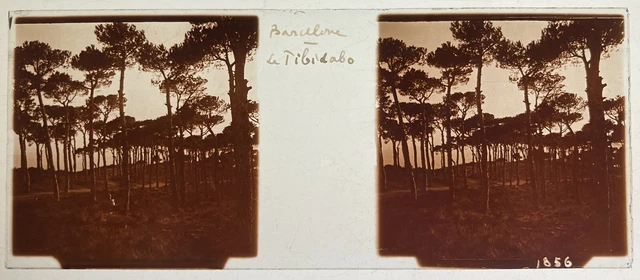 Photo Stéréoscopique Ancienne – Plaque De Verre, Paysage Bateau, Vers 1900