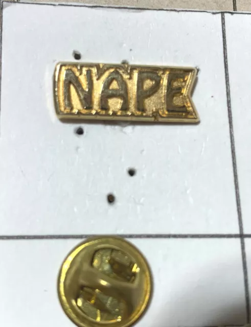 NAPE Newfoundland union Souvenir Pin NL#87