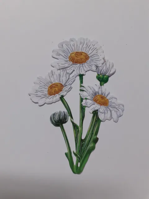 Zerfetzter Spitzenstanzschnitt Weisse Gänseblümchen Blumensprays X 5 Kartentopper