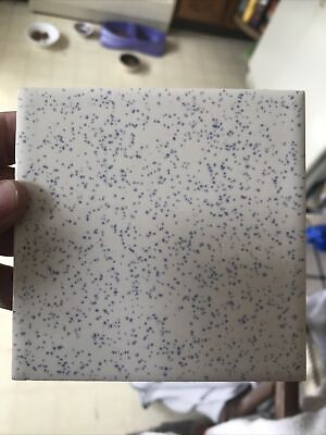 Atco USA 4-1/4" 1973 Gloss Speckled Blue on White Salt Pepper Ceramic Wall Tile