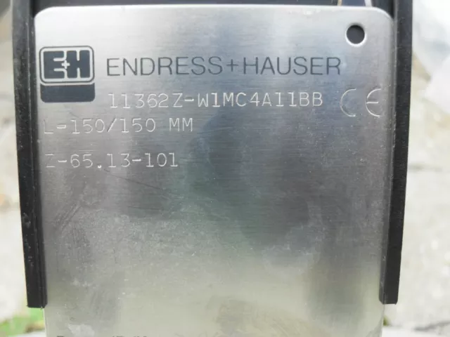 Endress + Hauser Konduktive Doppelsonde 11362Z mit Flansch 2