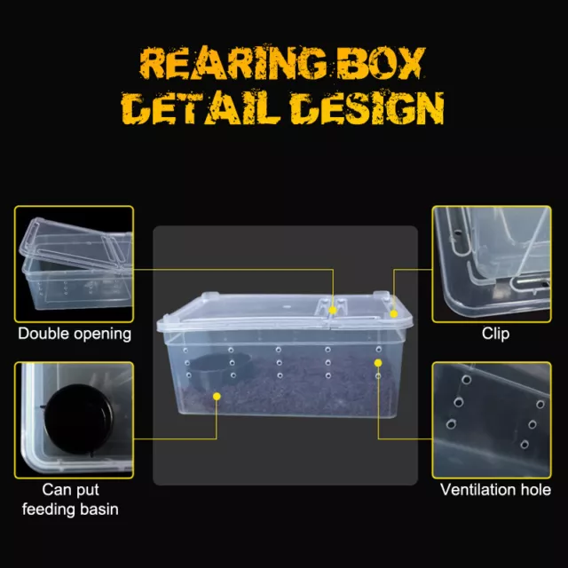 Reptiles Spider Transparent Plastic Feeding Box Insect Food Feeding ContainAU