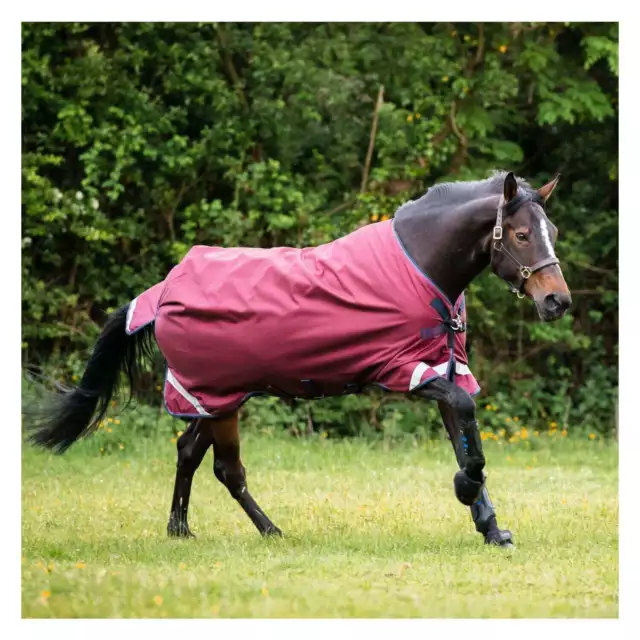 Horseware Ireland Burgundy/Burgundy, Teal & Navy 155 (6´9) Outdoordecke 0g Rambo