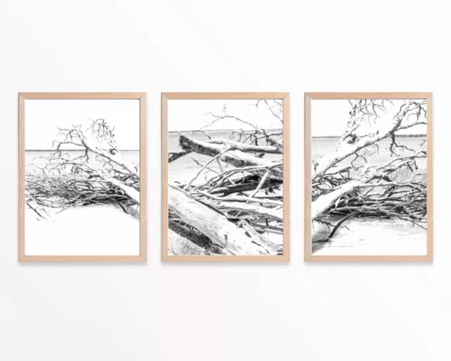 Hampton Grey,Artist Prints Framed, Set of 3,Pictures,Wall Art,Home,Decor,photos,