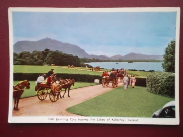 Postcard Kerry Irish Jaunting Cars - Lakes Of Killarney