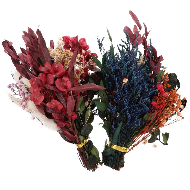 2 Pcs Fleurs Séchées Stabilisée Kit De Matériel Artisanat Pressées