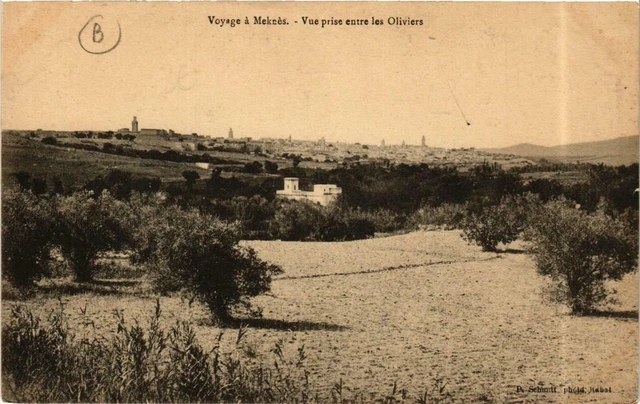 CPA AK MEKNES View taken between the Olives Morocco (689902)
