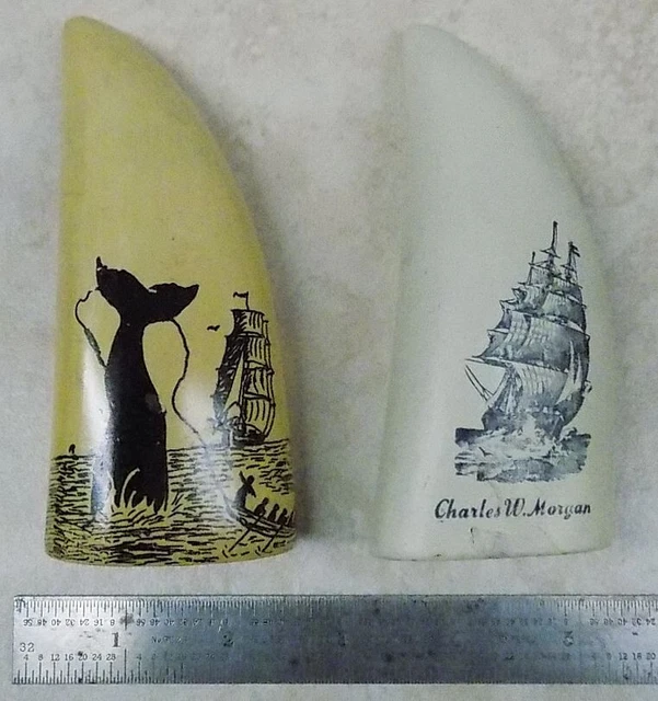 Lot of 2 (Two) Scrimshawed Faux Whale Teeth