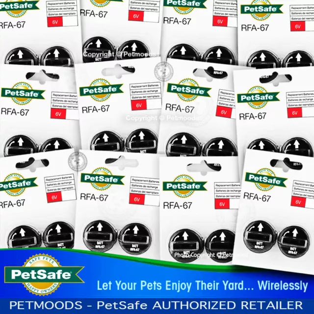 PetSafe RFA-67D-11 Batteries 6 volt PIF-275-19, PUL-275 Collar 24 Batteries