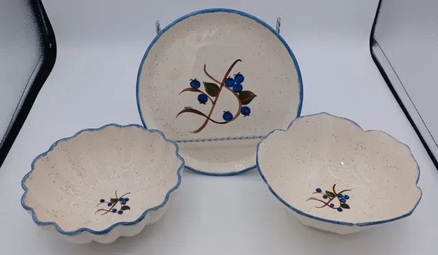 Hand Crafted & Painted Blueberries Plate, Scalloped & Flower Bowl Set ~ Maine