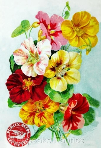 Gladiolus Flowers Seed Packet Quilt Block Multi Sizes FrEE ShiP WoRld WiDE (234A