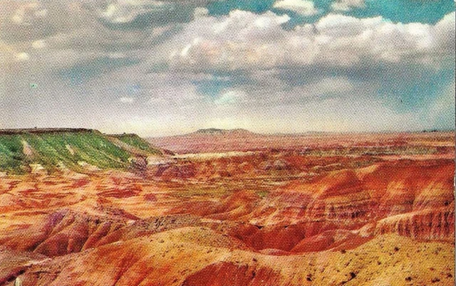 Postcard Arizona Painted Desert near Holbrook on Route 66 c1950s Petley