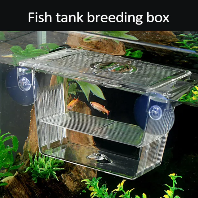 Acrylic Fish Breeding Isolation Box Betta Fish Aquarium Breeder Fish Tank Hatch