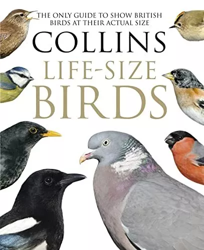 Collins Life-Size Birds: The Only Guide to Show British Birds at ... by Rob Read