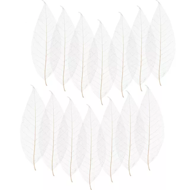 100 piezas Decoración blanca Hoja de magnolia Hágalo usted mismo Materiales Decoración