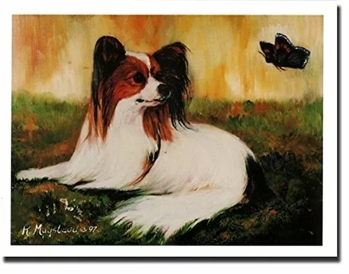 Continental Toy Spaniel Dog Notecard Set -  12 Blank Note Cards By Ruth Maystead