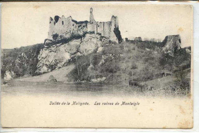 CP Belgique - Vallée de la Molignée - Les ruines de Montaigle
