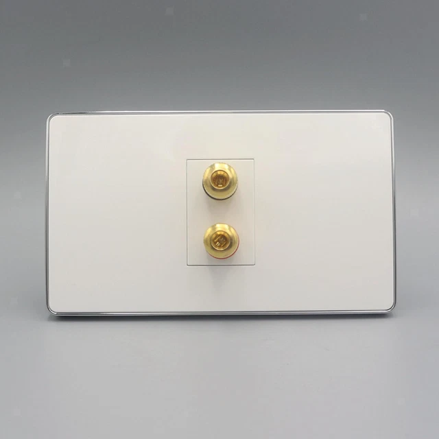 Speaker  Plate 2 Gold Binding Posts Home Theater Wall Plate