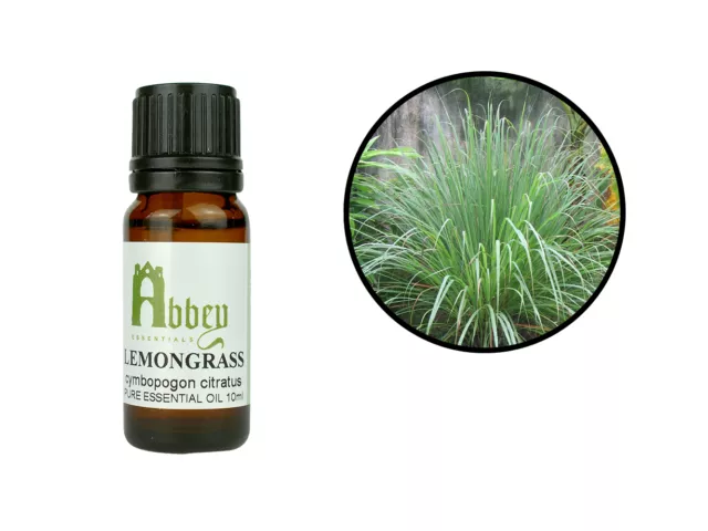 Essential Oil Lemongrass 100% Pure Natural Aromatherapy 10ml - 1 Litre UK