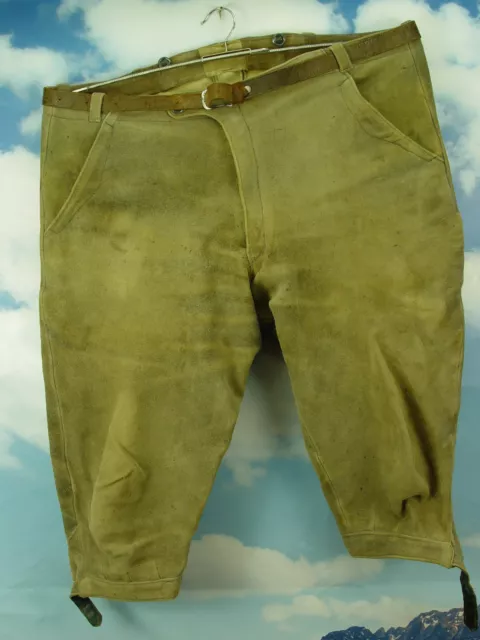 Klasse Säcklerarbeit sämische Hirschlederhose verspeckt Kniebund Lederhose Gr.56