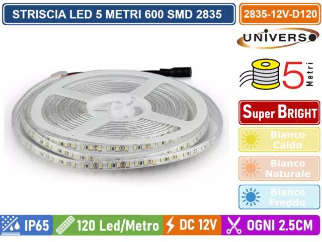 Strip Striscia Led Monocolore 5 Metri Smd 2835 120 Led Metro Ip65 - Dc 12V