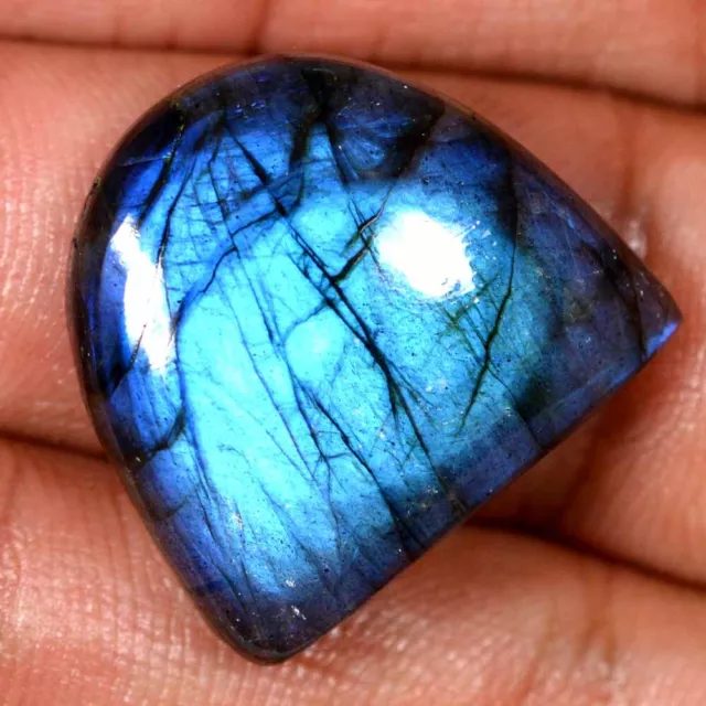 38.60 Cts 100% Natural Deep Blue Flash Labradorite Cabochon Loose Gemstone SZ15