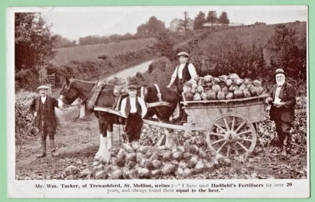 William Tucker Trewashford St Mellion Cornwall Hadfields Fertilisers