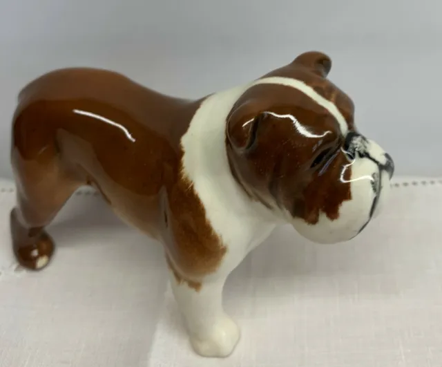 BESWICK DOG THE BULLDOG BOSUN MODEL No. 1731 WHITE & TAN GLOSS FINISH PERFECT