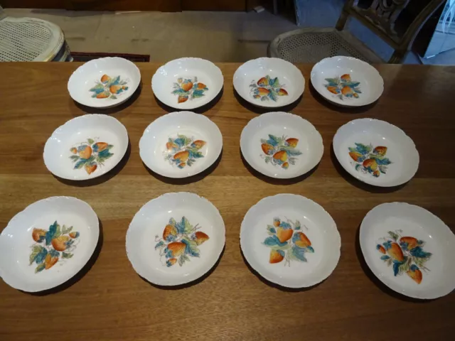 Service à fraises porcelaine de 12 assiettes creuses décor polychrome aux frais