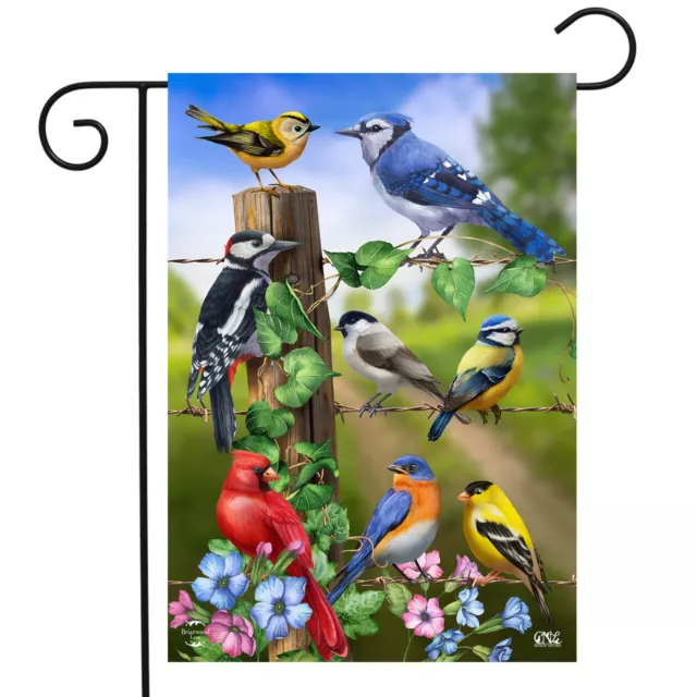 Country Birds Spring Garden Flag Goldfinches Blue Jay 12.5" x 18" Briarwood Lane
