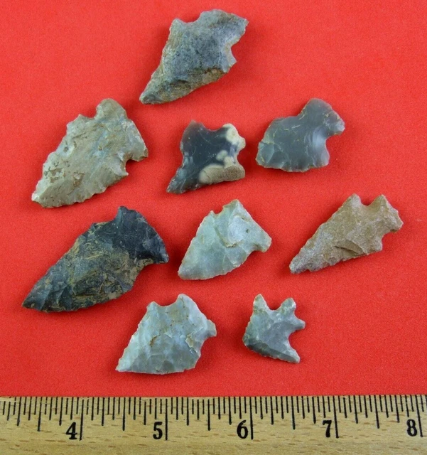 Indian Artifact Group of Nine Colorful Tennessee Points Indian Arrowheads