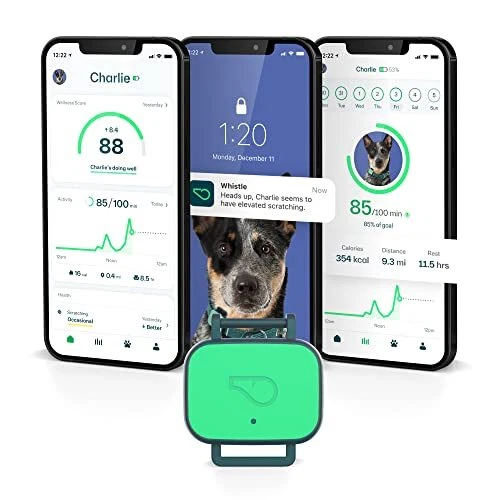 Whistle Smart Device | Dog and Fitness Tracker | Track Scratching Licking Dri...