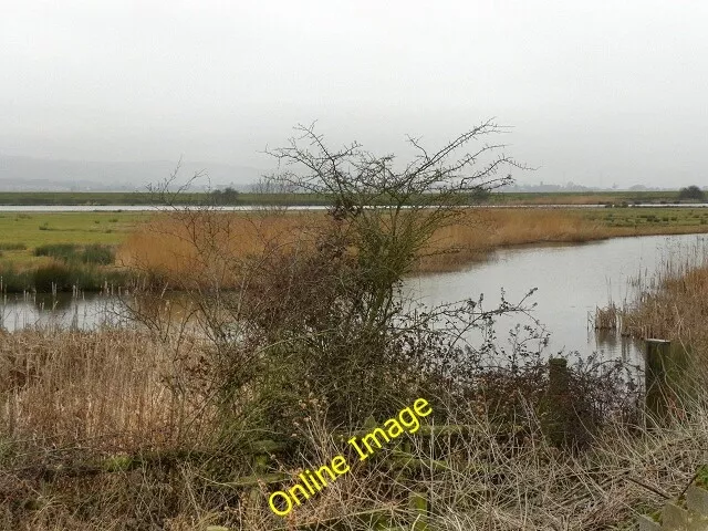 Photo 6x4 Slimbridge Wildfowl Sanctuary Shepherd's Patch A view from the  c2012