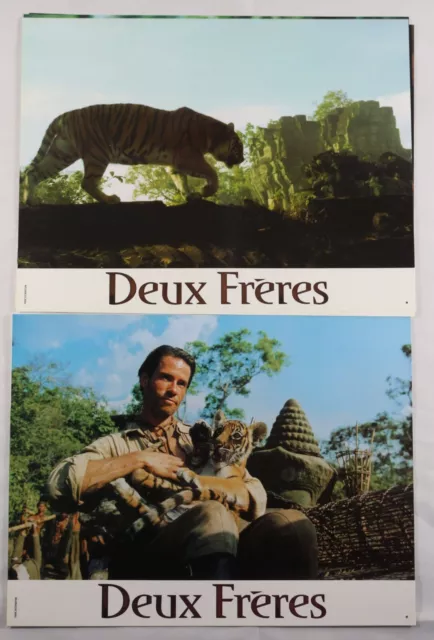 DEUX FRERES 2004  Jean-Jacques Annaud jeu 8 photos cinema lobby card tigre