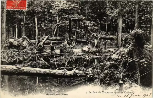 CPA AK PARIS 12th Le Bois de VINVENNES after the Cyclone (672524)