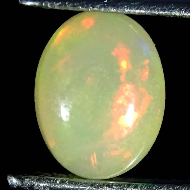 0.85Cts Natural Multi Welo Fire Ethiopian Opal Oval Cabochon Loose Gemstone