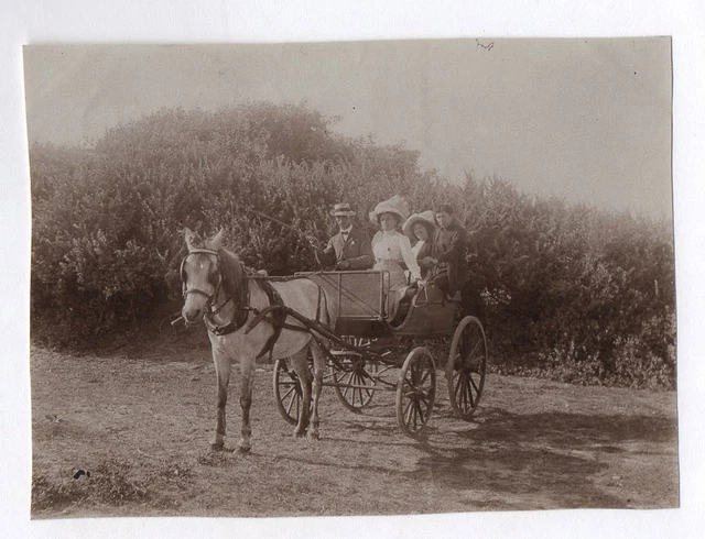 PHOTO ANCIENNE - VINTAGE SNAPSHOT - ANIMAL ANE CALÈCHE ATTELAGE MODE PHOTO ANCIENNE - VINTAGE SNAPSHOT - ANIMAL ANE CALÈCHE ATTELAGE MODE