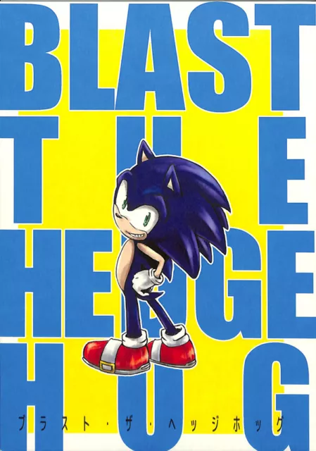 Sonic the Hedgehog Doujinshi Sonic , Silver , Shadow (B5 20pages) kashima