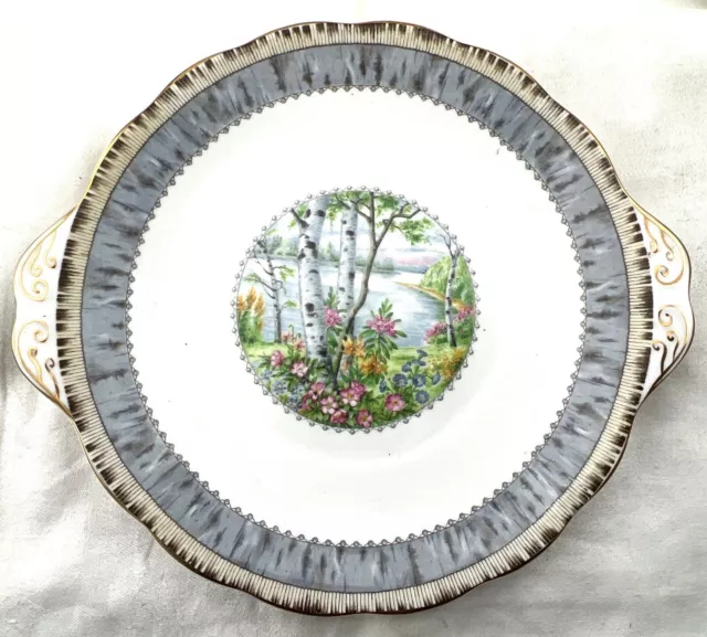 Royal Albert SILVER BIRCH 9 7/8" TAB HANDLED CAKE PLATE England Small medallion