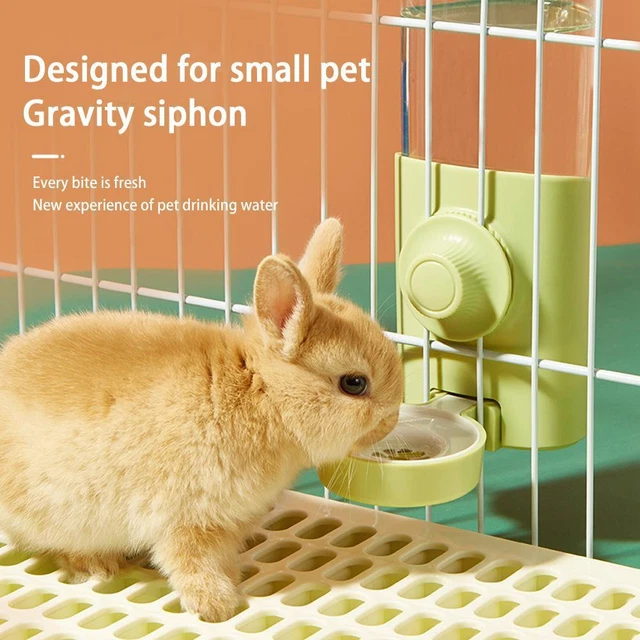Rabbit Water Dispenser Automatic Large-capacity Siphon Supp Feeding Kettle D2B2