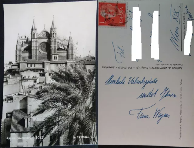 Antigua Postal Palma De Mallorca Catedral Zerkowitz Postcard Postkarte   Cc04210