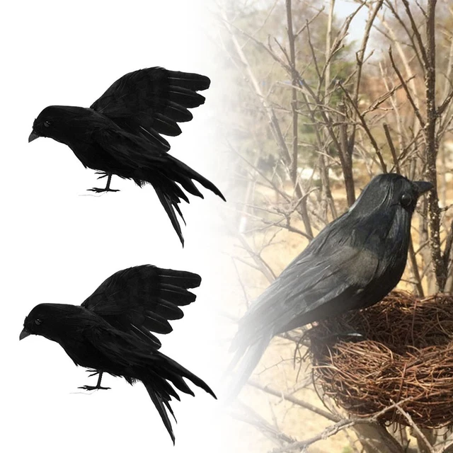 1/2 pz/nero a grandezza naturale film corvo oggetto di scena finto corvo Halloween decorazione caccia uccellini