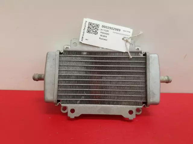 2017 Piaggio Vespa 300Cc Radiator