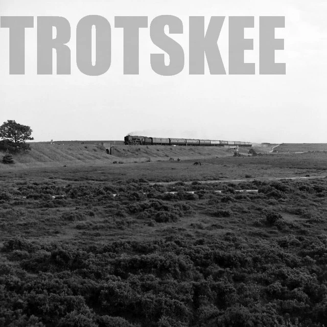 LARGER NEGATIVE BR British Railways Steam Loco 34013 Class WCBB