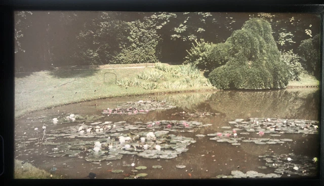 1912 LANDSCAPE LAKE PORTRAITS 2 AUTOCHROME LIGHT GLASS PLATE 14x8 PHOTO